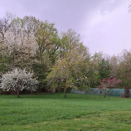 Les Des Guezoux * Vaunac